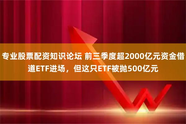 专业股票配资知识论坛 前三季度超2000亿元资金借道ETF进场，但这只ETF被抛500亿元